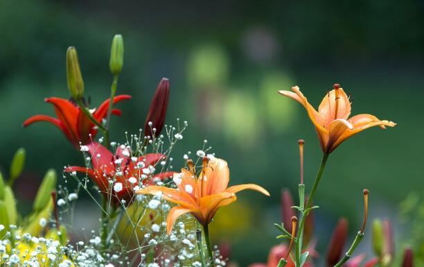 螺杆午夜精品视频在线观看